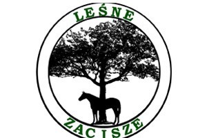 Nowy Klub – Klub Sportowy Leśne Team